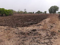 Agricultural land for sale.