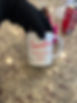 IMG_2796.jpeg