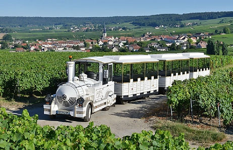 Le-Petit-Train-des-Vignobles-de-Champagne-photo-Michel-Jolyot-24.jpg