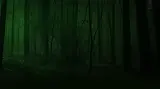 banner_bg.webp