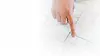 banner bg leis.webp