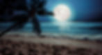 Moonlit.jpg