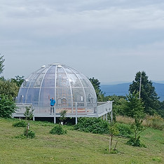 20260801_122040.jpg