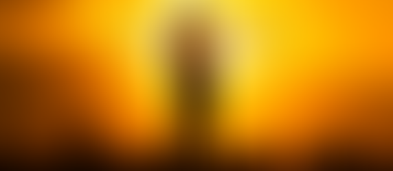 More on BloomTv and their Approach to the Transformational Festival