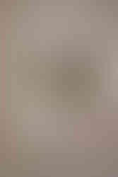 completing neck on cat