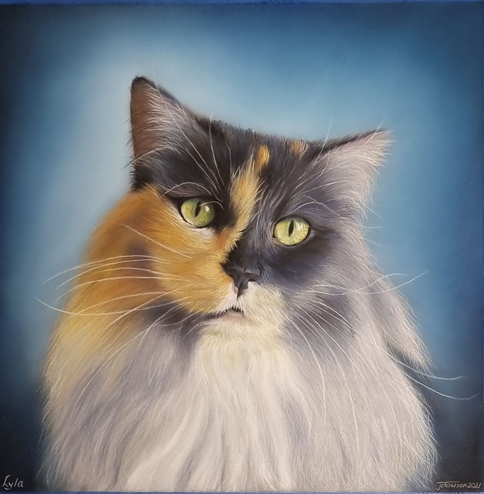 Cat portrait in soft pastel