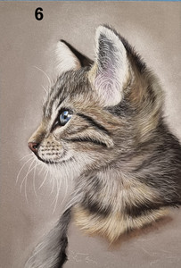 Adding fur texture to cat chest