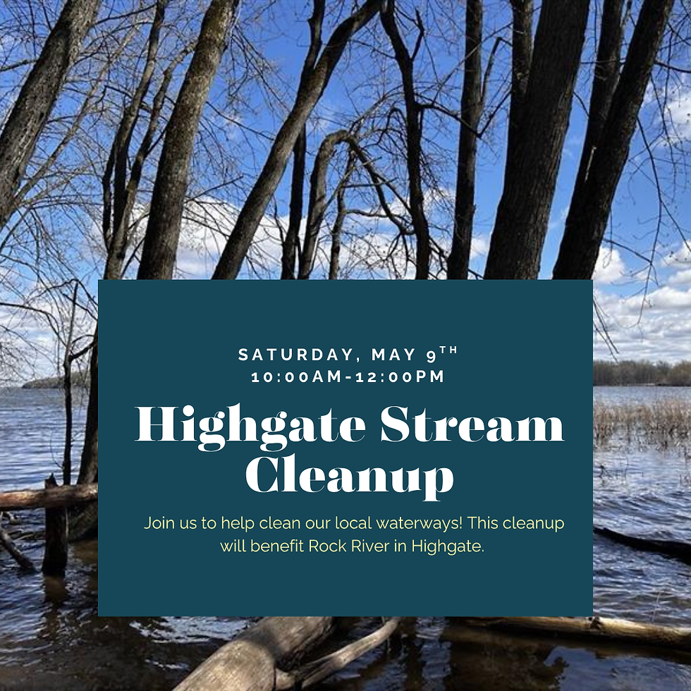 Highgate Stream Cleanup