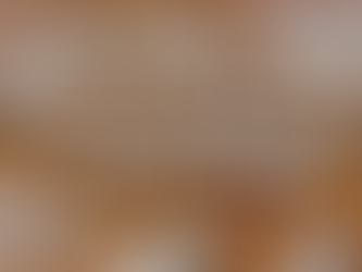 Is TEMU Going To Be The Next Prada?