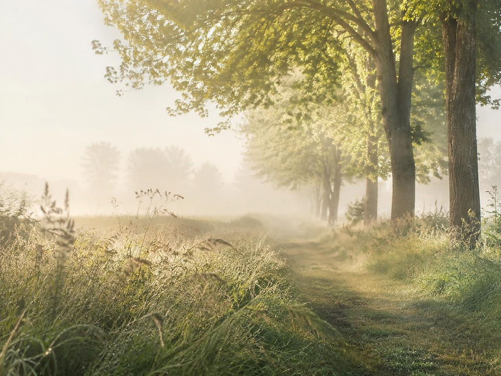 How Psychological Therapy Can Support Wellbeing