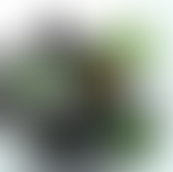 How To Get A Texas Medical Card For Marijuana Prescription