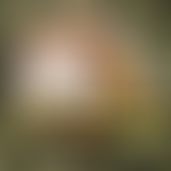 Sugar Cookies Strain Review