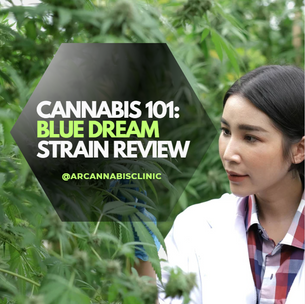 Cannabis 101: Blue Dream Strain Review