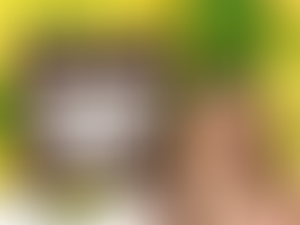 Where To Get An Arkansas Marijuana Card In The Ozarks?