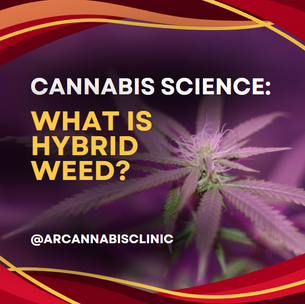 Cannabis Science: What Is Hybrid Weed?