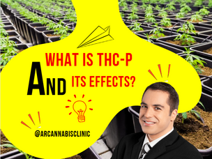 What Is Thc-p And Its Effects?