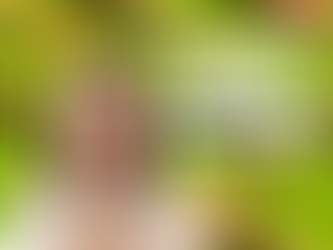 State Hemp Guide: Where Is Thca Banned?