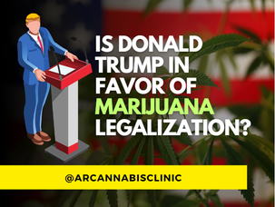 Is Donald Trump In Favor Of Marijuana Legalization?
