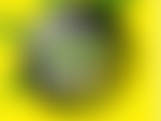 2026 Top Marijuana Strains And Their Effects