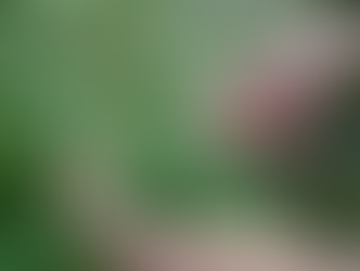 Qualifying Conditions for a Minnesota Medical Cannabis Card