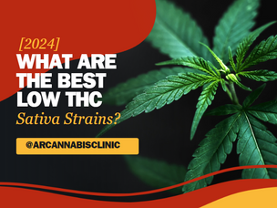 [2024] What Are The Best Low THC Sativa Strains?