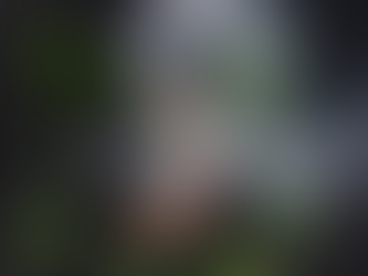 Recreational Cannabis in MI: Is Marijuana Legal in Michigan?