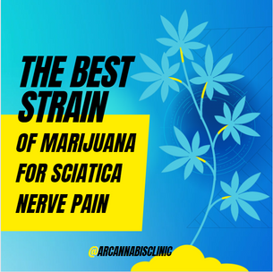 The Best Strain Of Marijuana For Sciatica Nerve Pain
