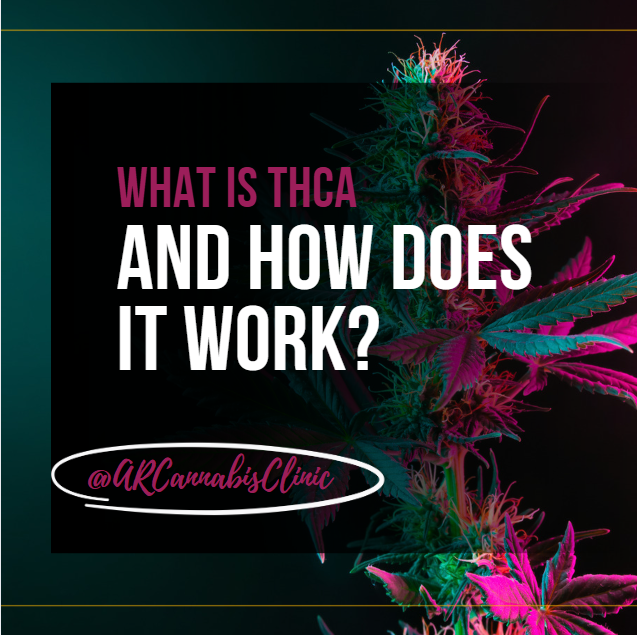 Marijuana plant: What Is THCA And How Does It Work?
