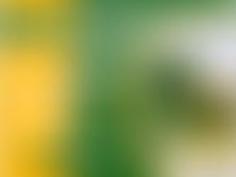 How to Renew Oklahoma Medical Card Online