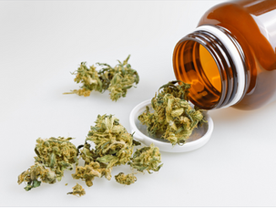 Medical Marijuana Doctors in Kentucky: Guiding You Through the New Legal Landscape