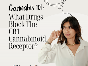Cannabis 101: What Drugs Block The CB1 Cannabinoid Receptor?