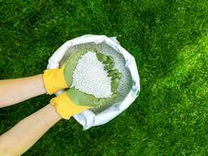 What is the Best Fertilizer for Marijuana Plants?