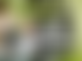 Who is a Caregiver for Medical Marijuana in Louisiana?