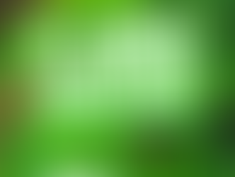 If I Smoke Everyday How Long Till I'm Clean?