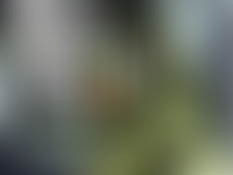 What Is Delta 8 Vs Delta 9 Vs Delta 10