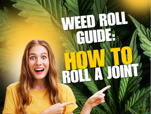 Weed Roll Guide: How To Roll A Joint