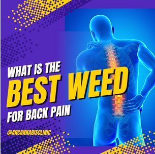 What Is The Best Weed For Back Pain