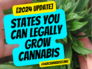 [2024 Update] States You Can Legally Grow Cannabis