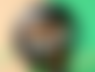 Best Marijuana Strains For Beginners In 2026