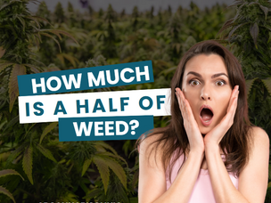How Much Is A Half Of Weed?