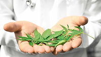 ARCannabisClinic Marijuana Card.jpg