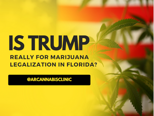 Is Trump Really For Marijuana Legalization In Florida?