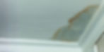 A large patch of damp showing in the corner of the ceiling