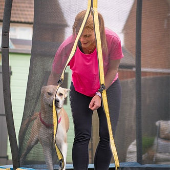 Jo on her trampoline with her dog Cookie