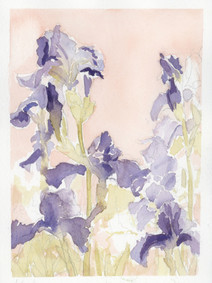 Watercolor Iris Flowers
