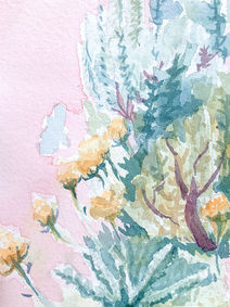 Watercolor flowers