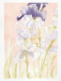 Watercolor Iris Flowers