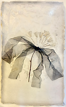 回憶是捕風說影