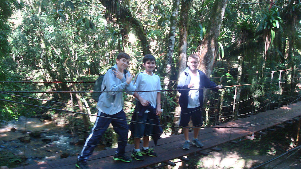 DSC02084.jpg