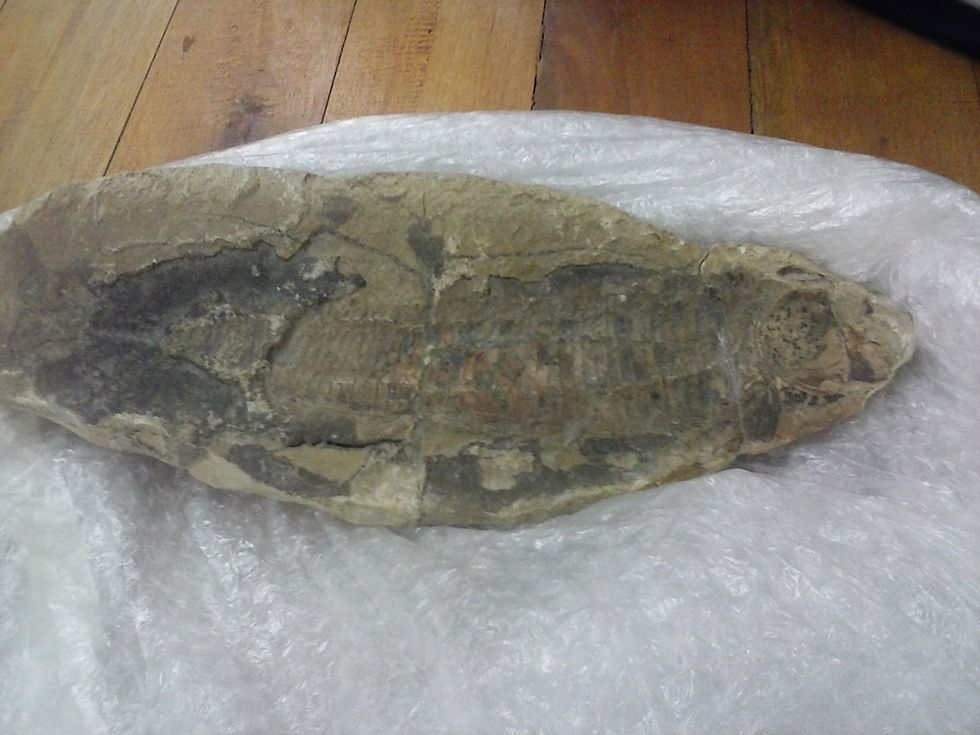 CAM00924.jpg